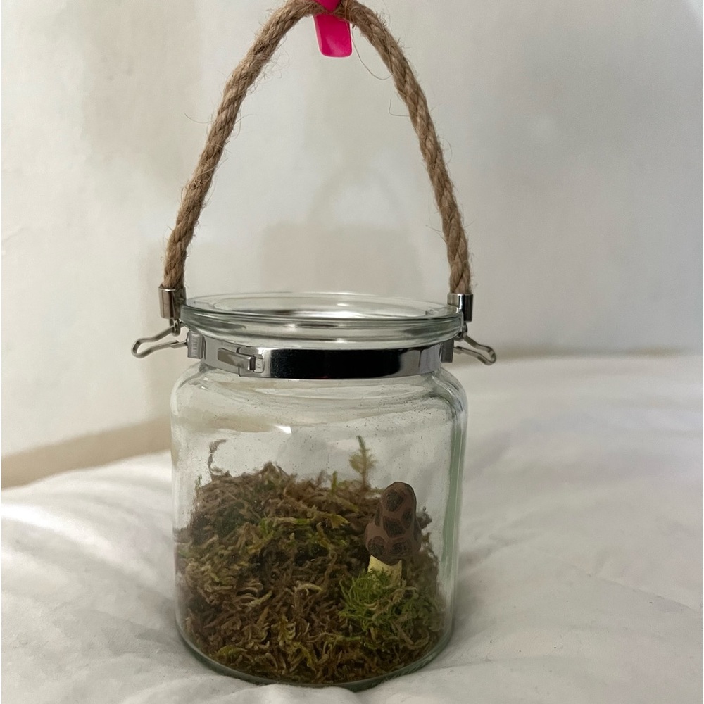 Cute Terrarium
